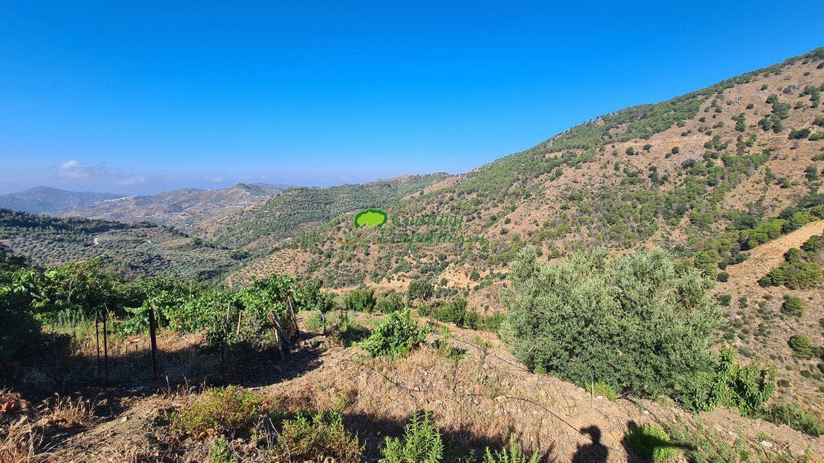 3 soveværelse Finca/Landehus til salg i Canillas de Albaida - € 286.000 (Ref: 8438401)