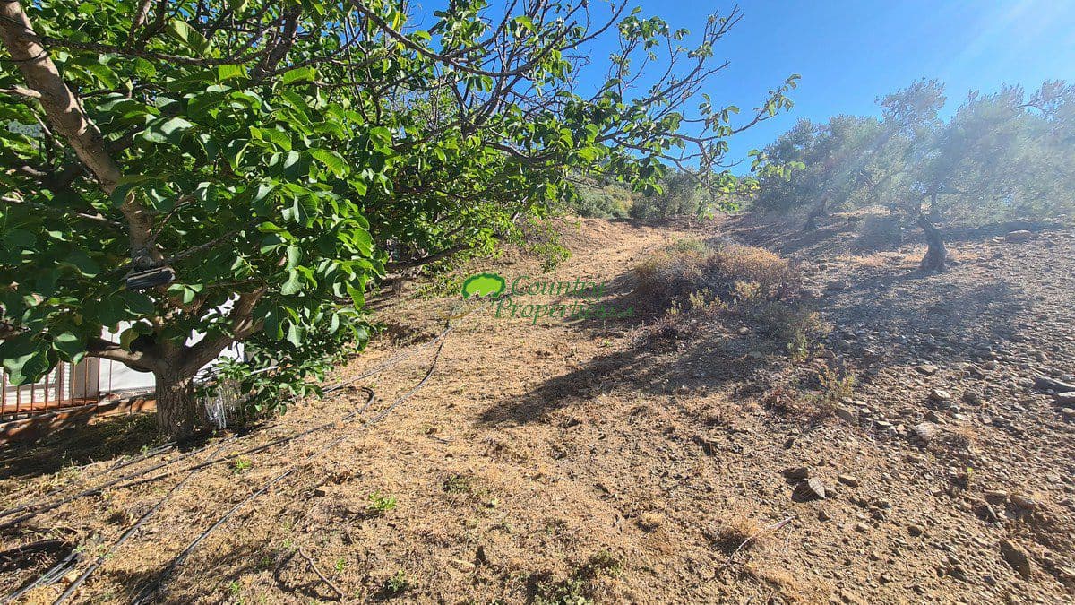 3 soveværelse Finca/Landehus til salg i Canillas de Albaida - € 286.000 (Ref: 8438401)