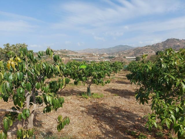 3 chambre Finca/Maison de Campagne à vendre à Lagos, Vélez-Málaga avec garage - 449 000 € (Ref: 8518999)