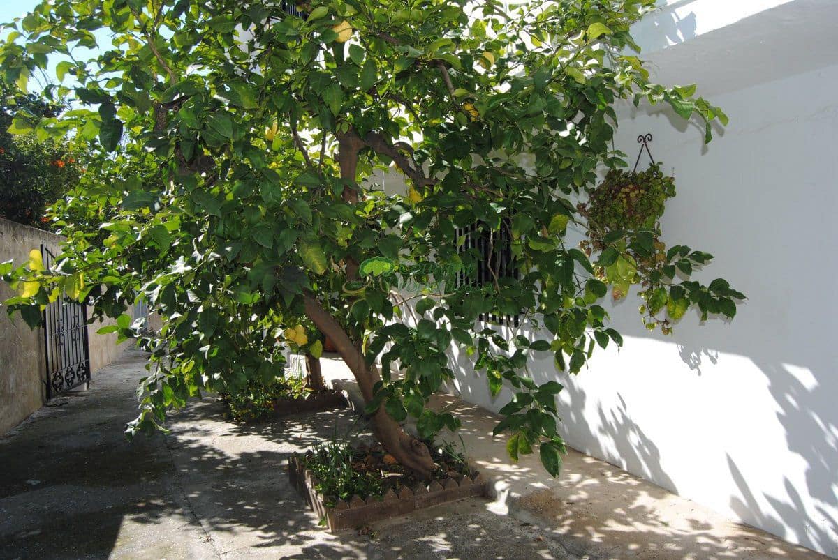 8 camera da letto Casa in vendita in Competa - 390.000 € (Rif: 8527558)