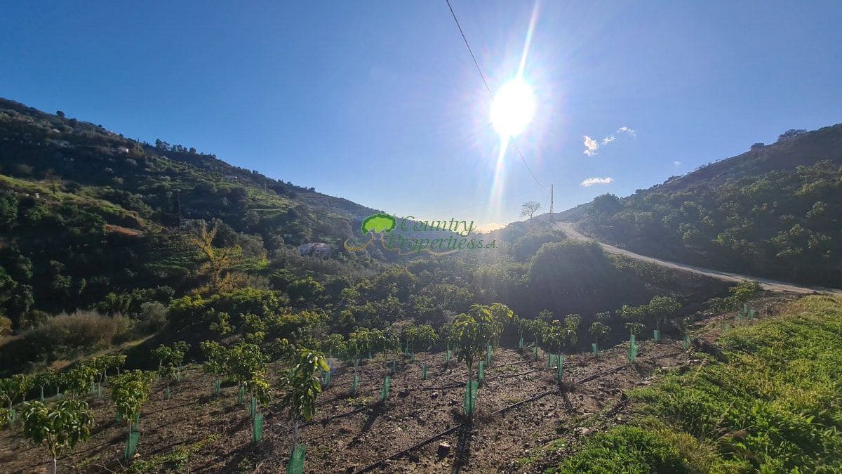 2 sypialnia Finka/Dom wiejski na sprzedaż w Competa - 261 000 € (Ref: 8809291)