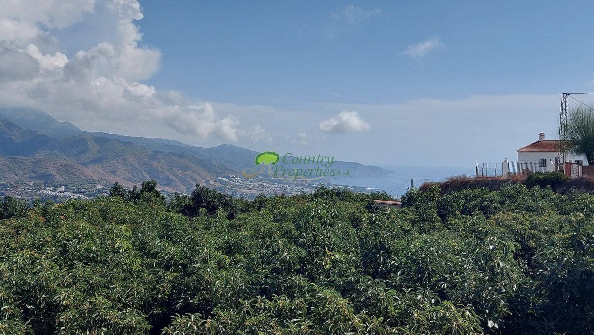 5 sypialnia Finka/Dom wiejski na sprzedaż w Torrox - 450 000 € (Ref: 9326863)