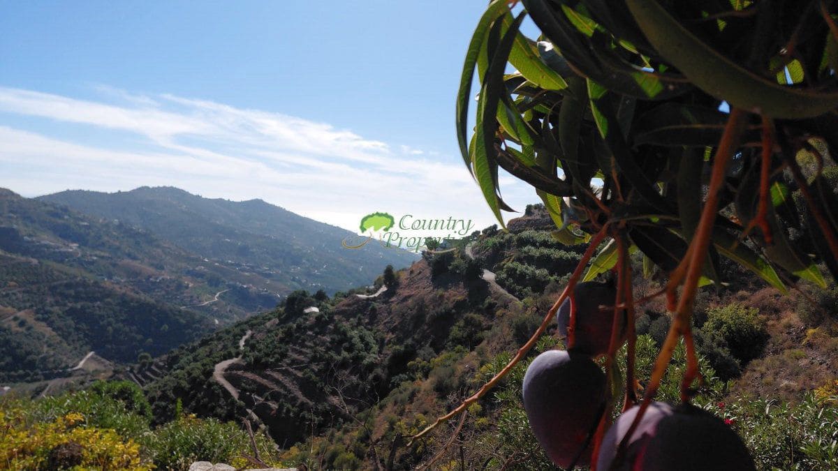 Finca/Casa Rural de 2 habitaciones en Cómpeta en venta - 525.000 € (Ref: 9527178)