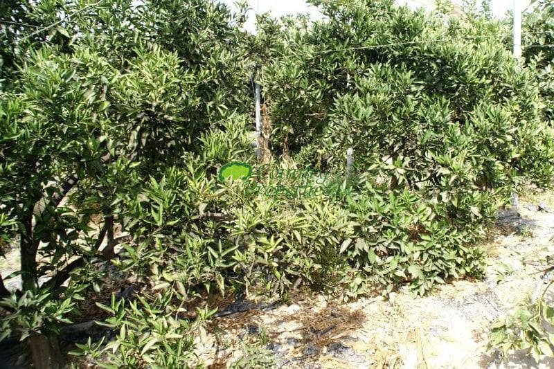 3 sovrum Villa till salu i Torrox med garage - 370 000 € (Ref: 9570798)