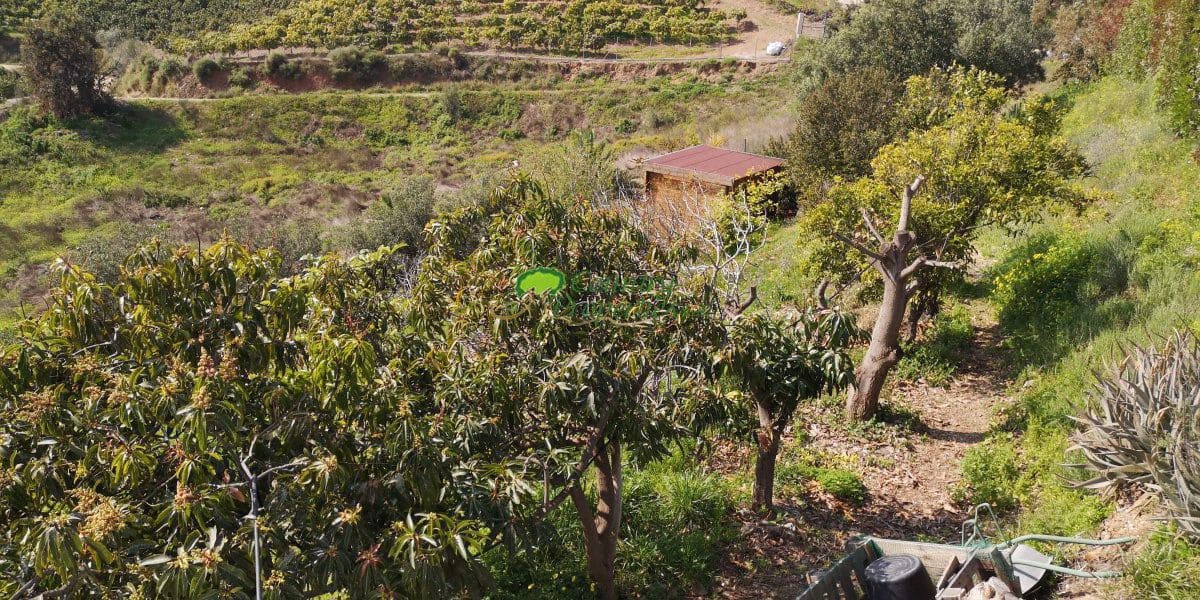 3 sovrum Finca/Hus på landet till salu i Benajarafe - 449 000 € (Ref: 9666126)