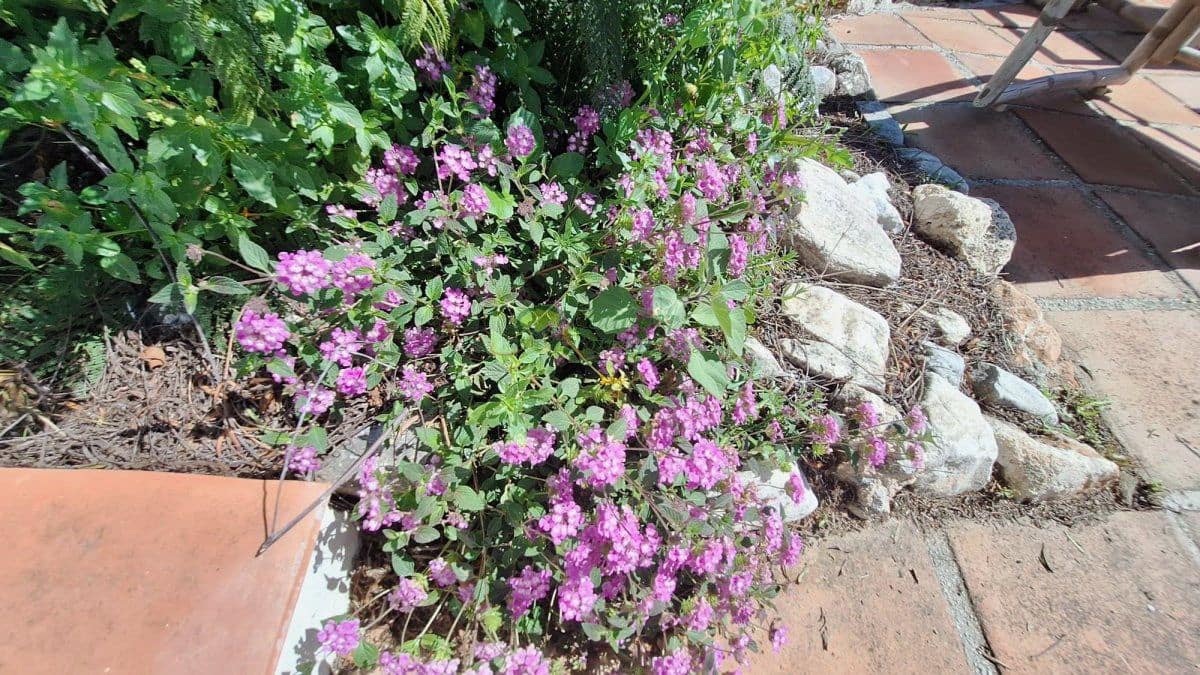 3 camera da letto Finca/Casa di Campagna in vendita in Competa - 485.000 € (Rif: 9711156)