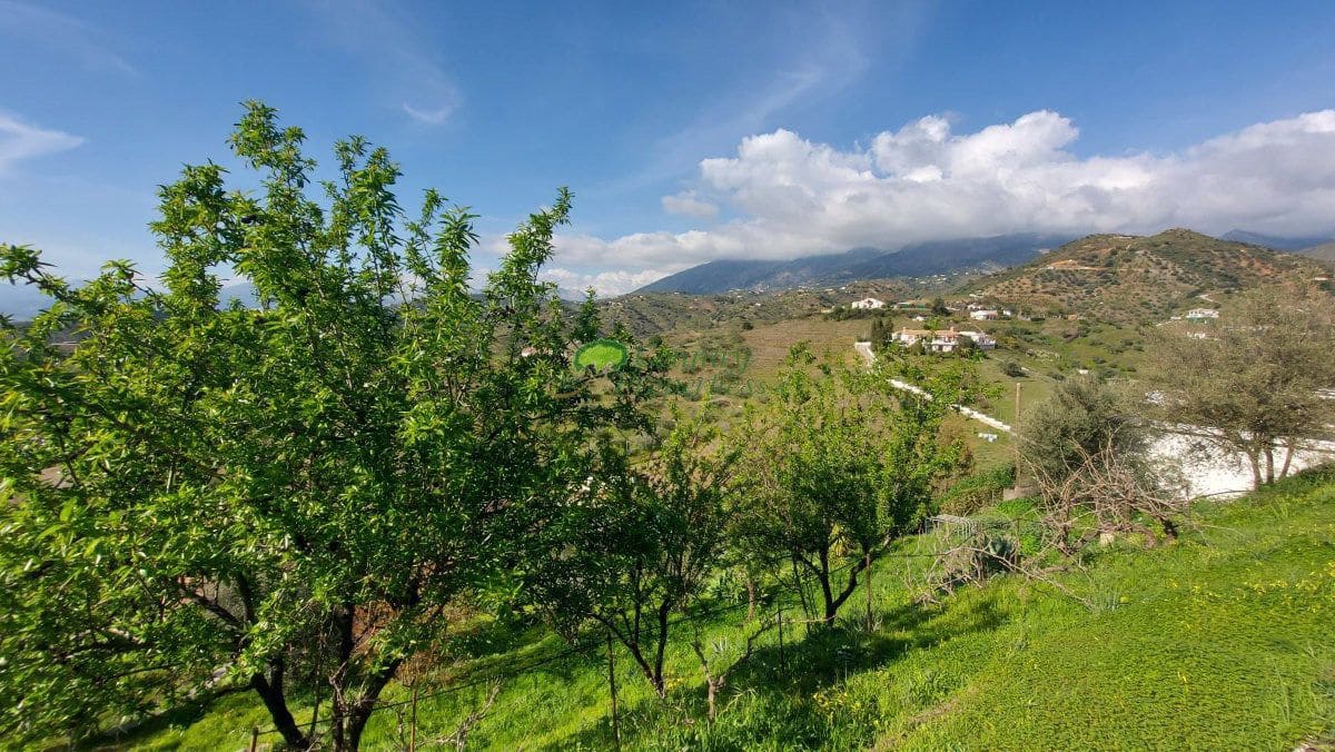 4 bedroom Finca/Country House for sale in Canillas de Aceituno - € 449,000 (Ref: 9726435)