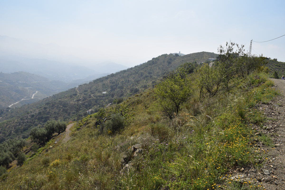 Ubebygd land til salgs i Vinuela - € 25 000 (Ref: 9777740)