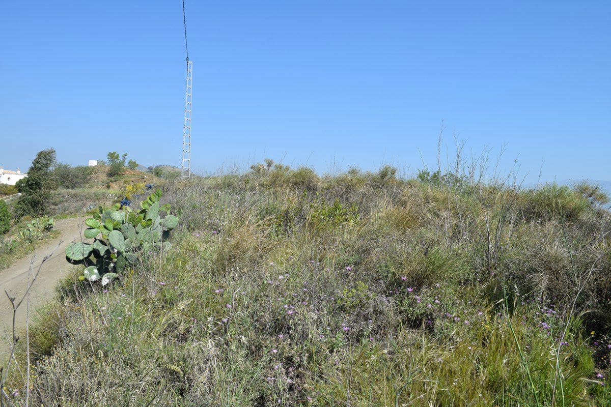 Ubebygd land til salgs i Vinuela - € 25 000 (Ref: 9777740)