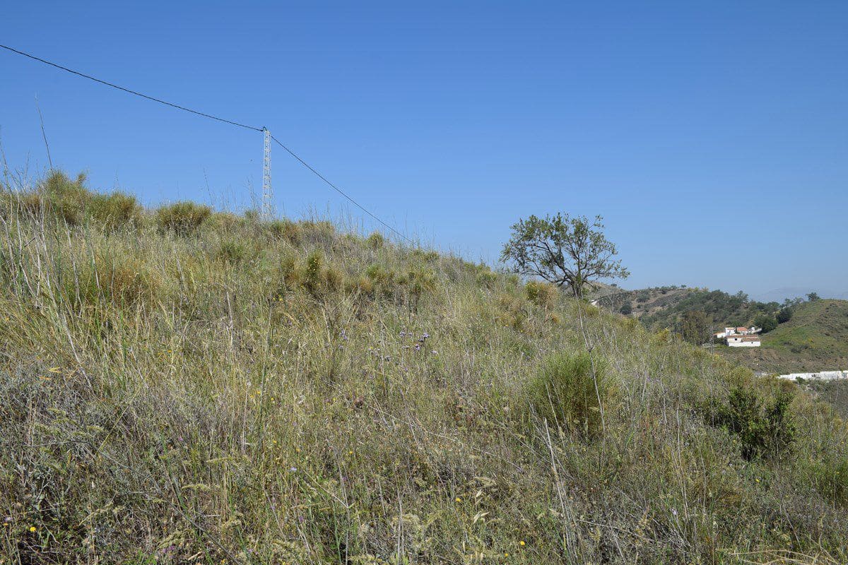 Ubebygd land til salgs i Vinuela - € 25 000 (Ref: 9777740)