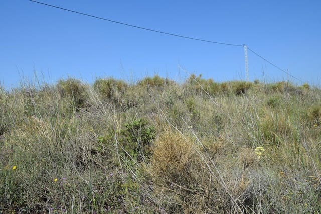 Ubebygd land til salgs i Viñuela - € 25 000 (Ref: 9777740)