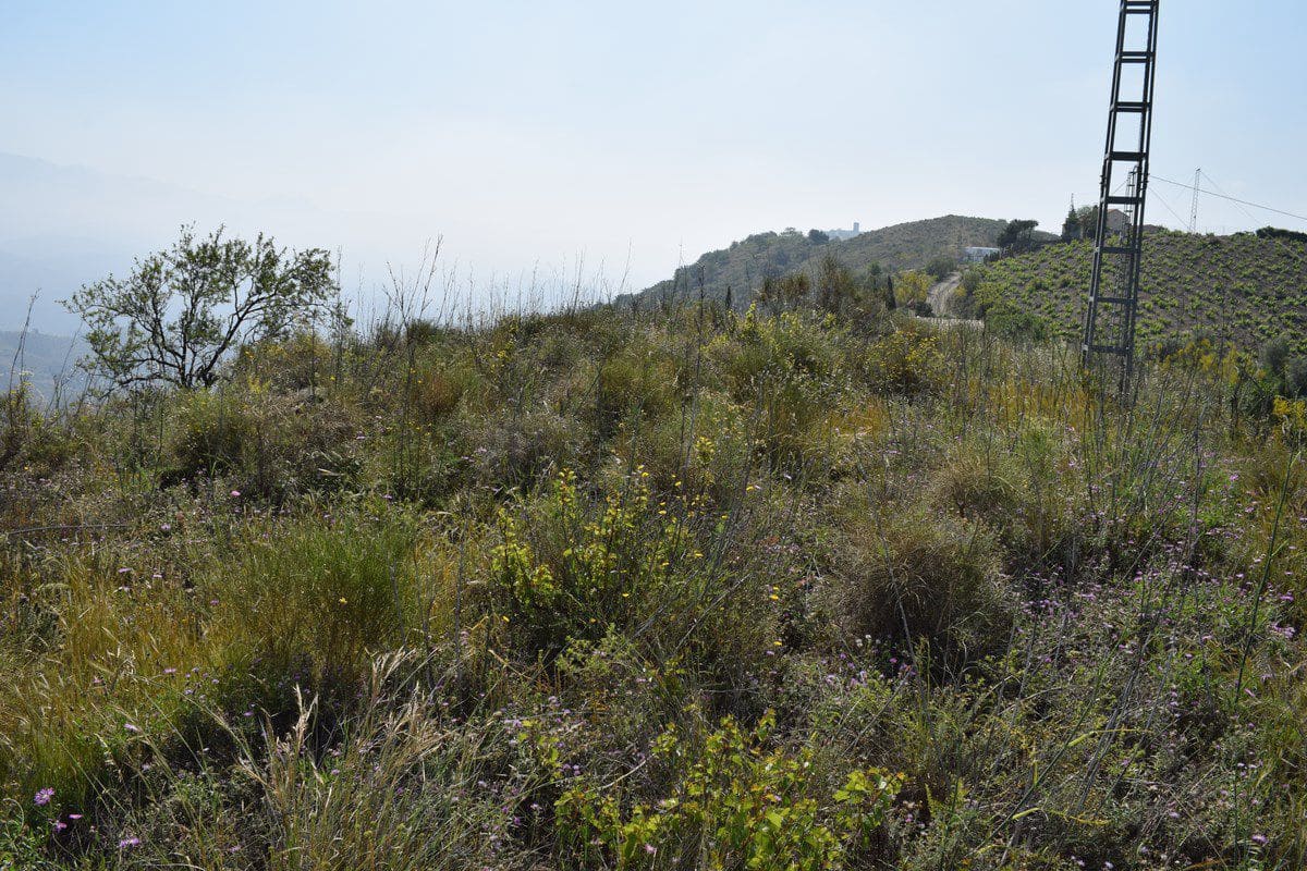 Ubebygd land til salgs i Vinuela - € 25 000 (Ref: 9777740)