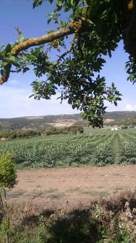 4 sypialnia Finka/Dom wiejski na sprzedaż w Alhama de Granada - 369 000 € (Ref: 9777745)