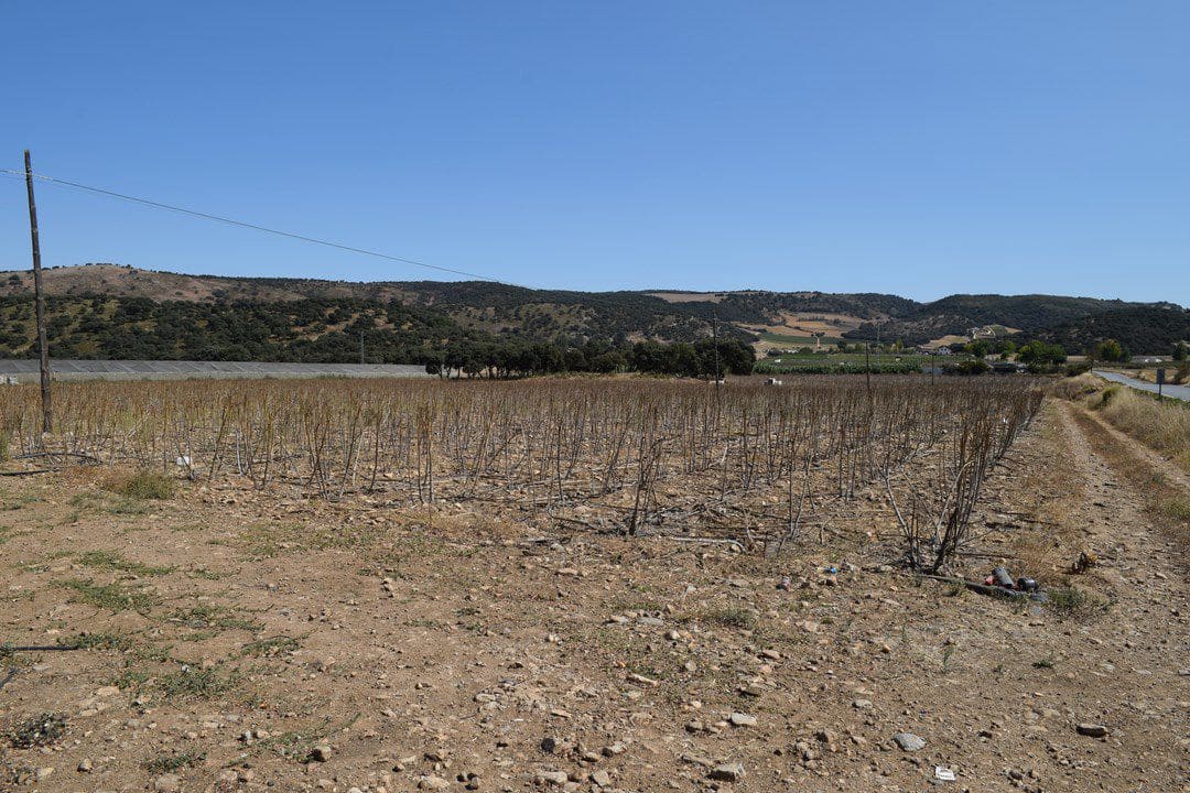 4 bedroom Finca/Country House for sale in Alhama de Granada - € 369,000 (Ref: 9777745)