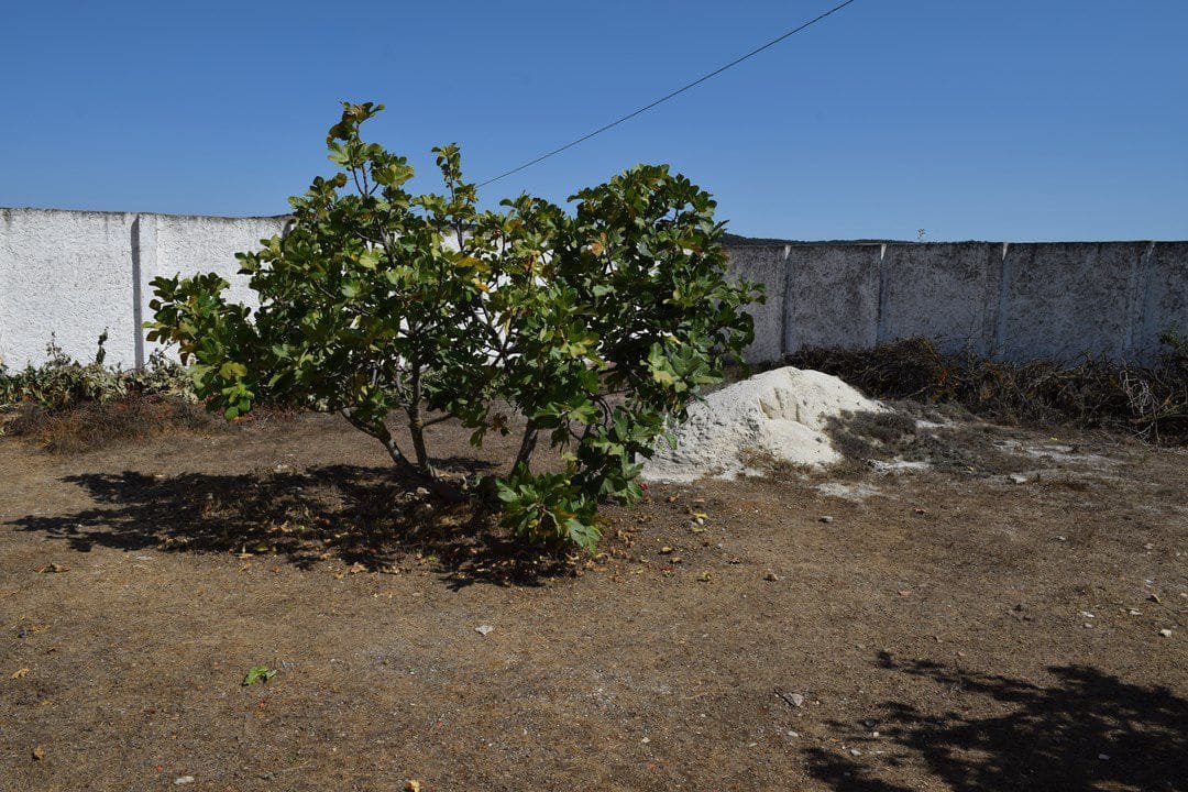 4 bedroom Finca/Country House for sale in Alhama de Granada - € 369,000 (Ref: 9777745)