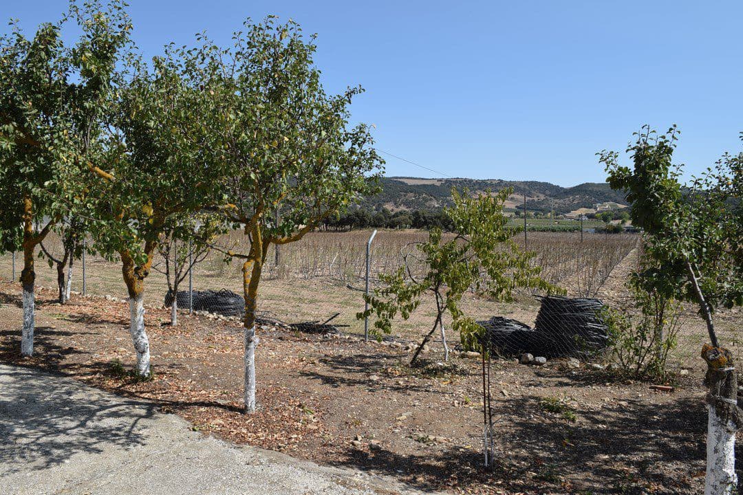 4 bedroom Finca/Country House for sale in Alhama de Granada - € 369,000 (Ref: 9777745)