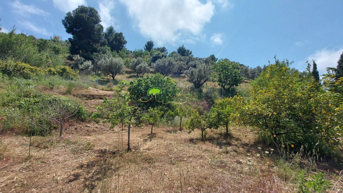 3 bedroom Finca/Country House for sale in Torrox - € 475,000 (Ref: 9838967)