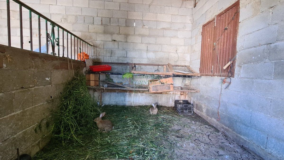 1 sypialnia Finka/Dom wiejski na sprzedaż w Competa - 65 000 € (Ref: 9850950)