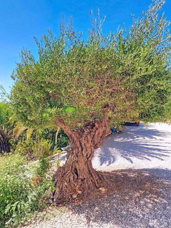 4 camera da letto Finca/Casa di Campagna in vendita in Velez-Malaga con garage - 890.000 € (Rif: 9855064)