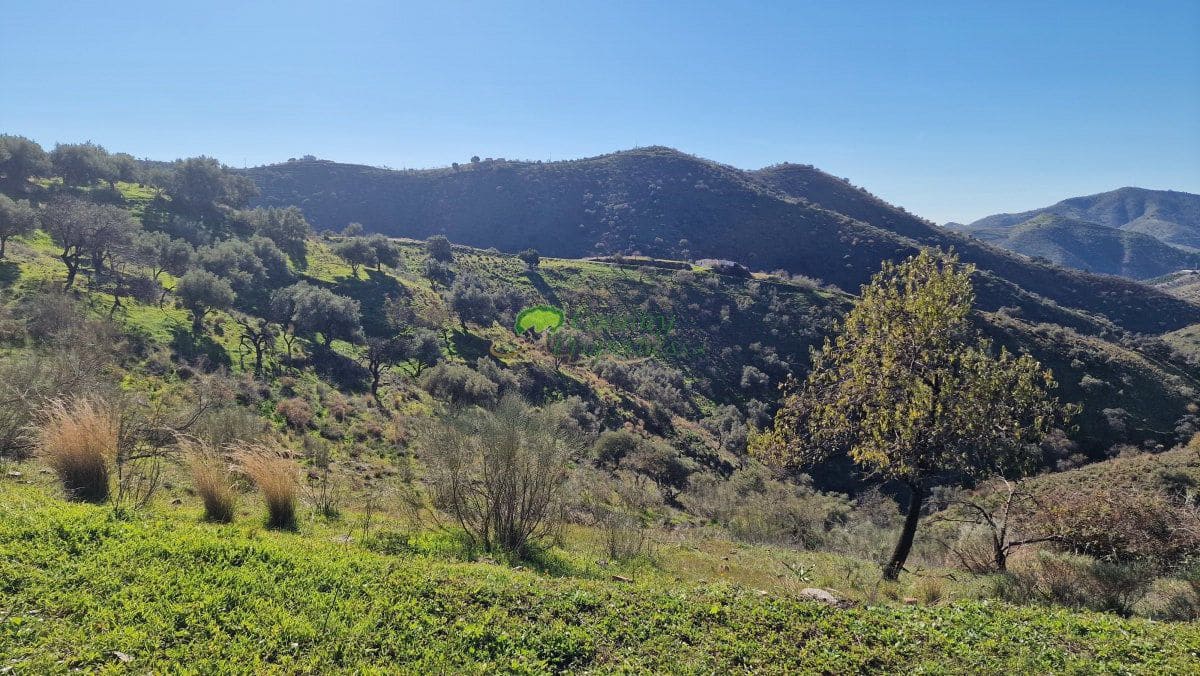 8 Zimmer Finca/Landgut zu verkaufen in Sedella mit Garage - 695.000 € (Ref: 9857515)