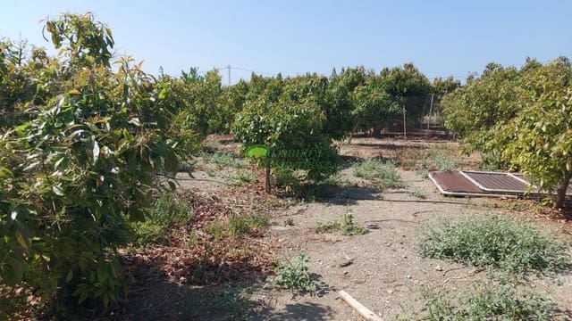 2 bedroom Finca/Country House for rent in Torrox - € 800 (Ref: 9899132)
