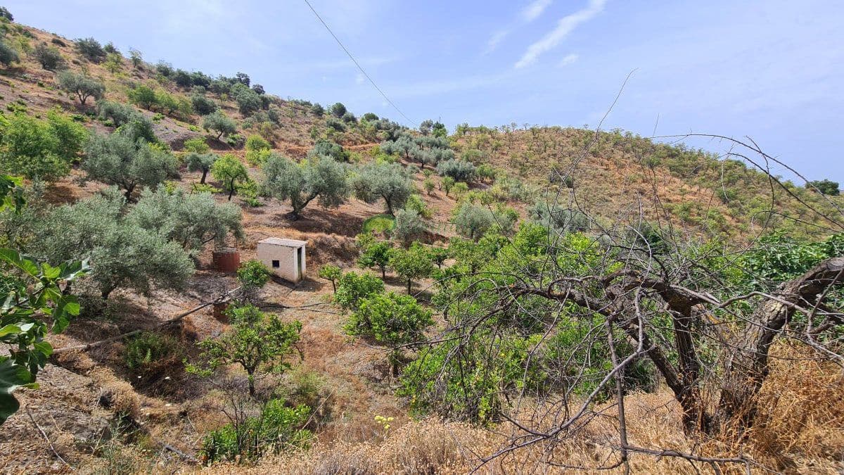 3 sovrum Finca/Hus på landet till salu i Sedella med garage - 355 000 € (Ref: 9949295)