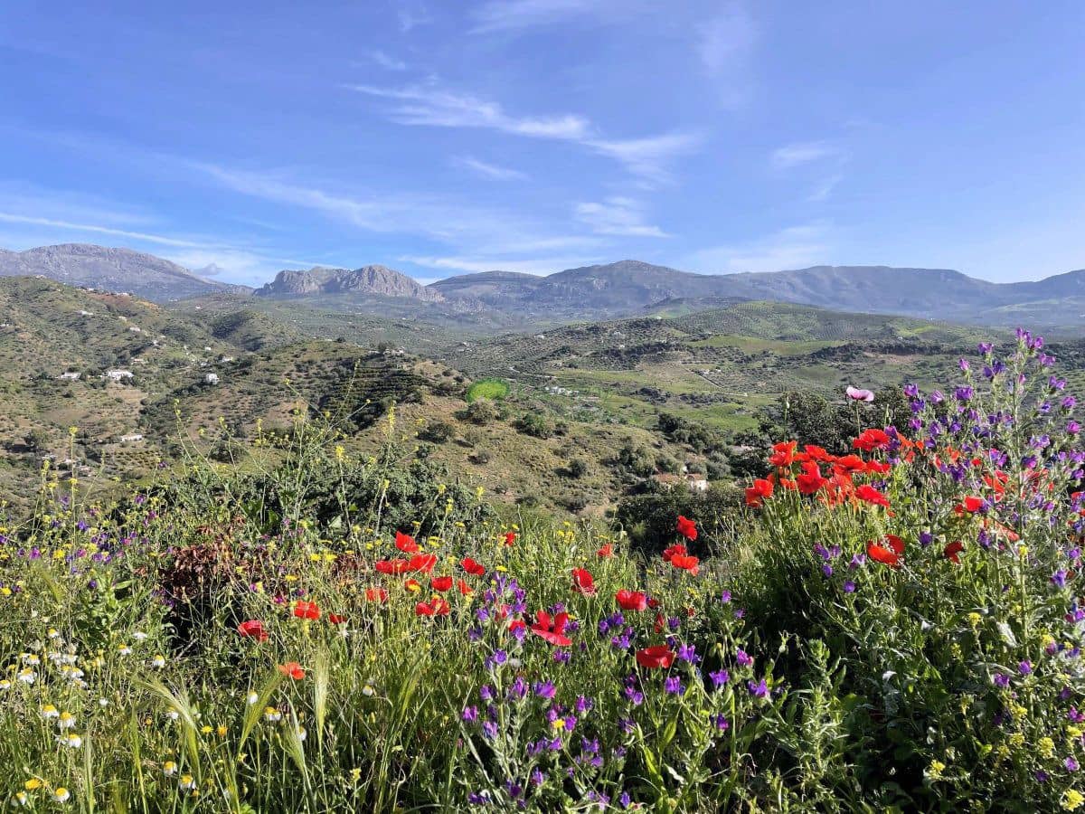 3 soveværelse Finca/Landehus til salg i Comares med garage - € 369.500 (Ref: 9966243)