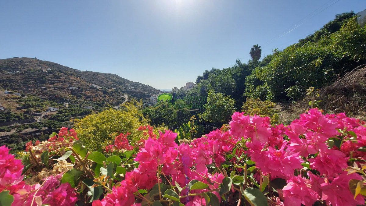 Finca/Casa Rural de 3 habitaciones en Torrox en venta con piscina garaje - 465.000 € (Ref: 9981846)