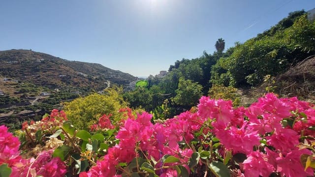 3 soverom Finca/Herregård til salgs i Torrox med svømmebasseng garasje - € 465 000 (Ref: 9981846)