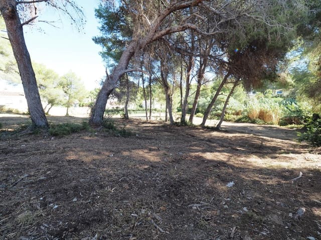 Tontti myytävänä paikassa Adsubia, Javea / Xàbia - 600 000 € (Ref: 9130970)