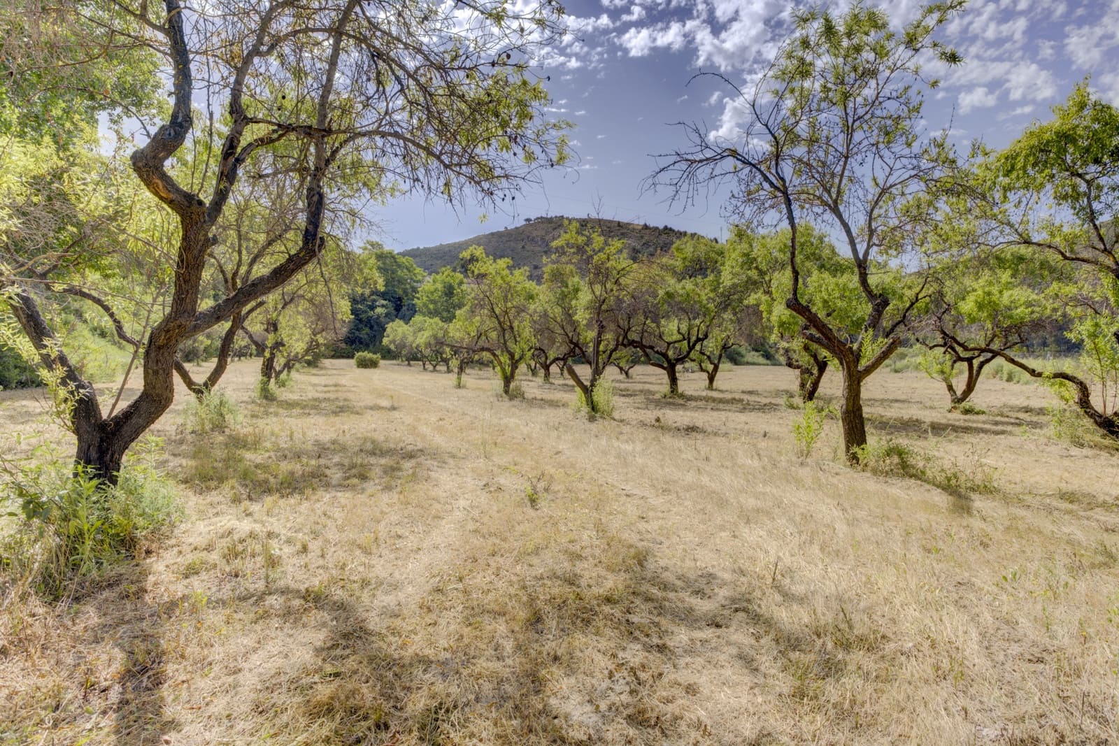 10 soveværelse Finca/Landehus til salg i Ontinyent med swimmingpool garage - € 950.000 (Ref: 9132174)