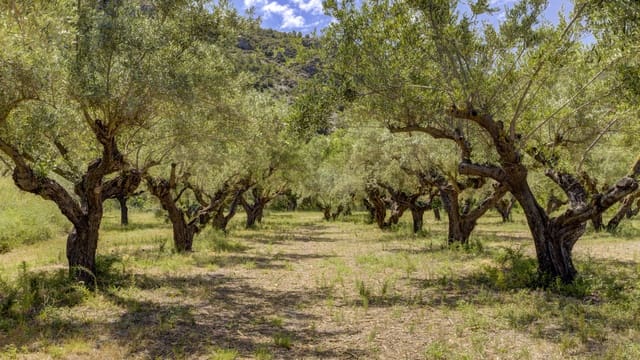 10 quarto Quinta/Casa Rural para venda em Ontinyent com piscina garagem - 950 000 € (Ref: 9132174)