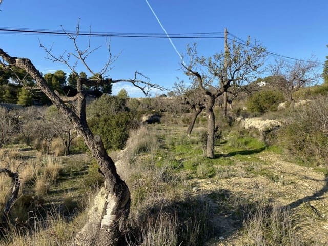 Byggegrund til salg i Benissa - € 135.000 (Ref: 6613491)