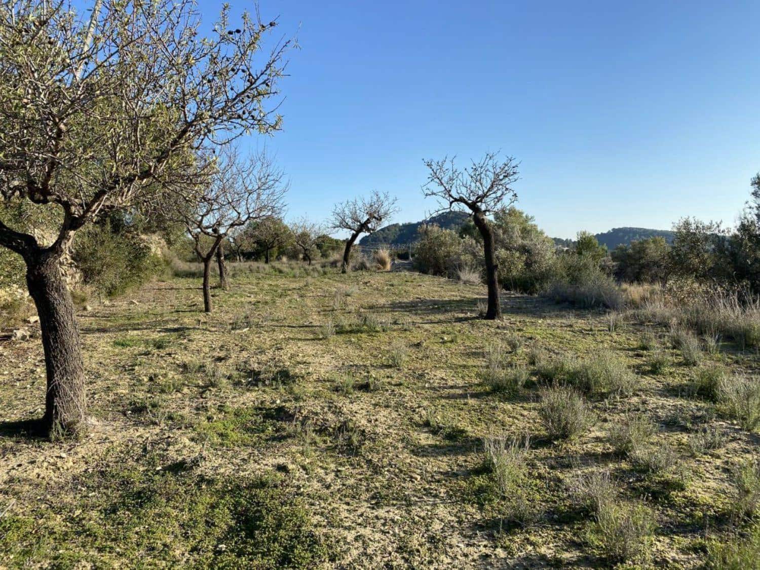 Byggegrund til salg i Benissa - € 135.000 (Ref: 6613491)