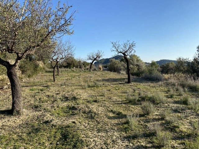 Byggegrund til salg i Benissa - € 135.000 (Ref: 6613491)