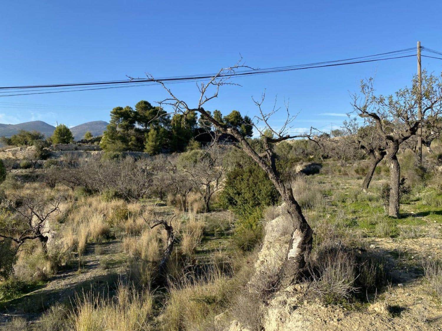 Byggegrund til salg i Benissa - € 135.000 (Ref: 6613491)