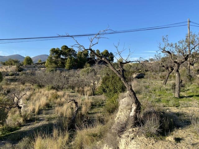 Byggegrund til salg i Benissa - € 135.000 (Ref: 6613491)