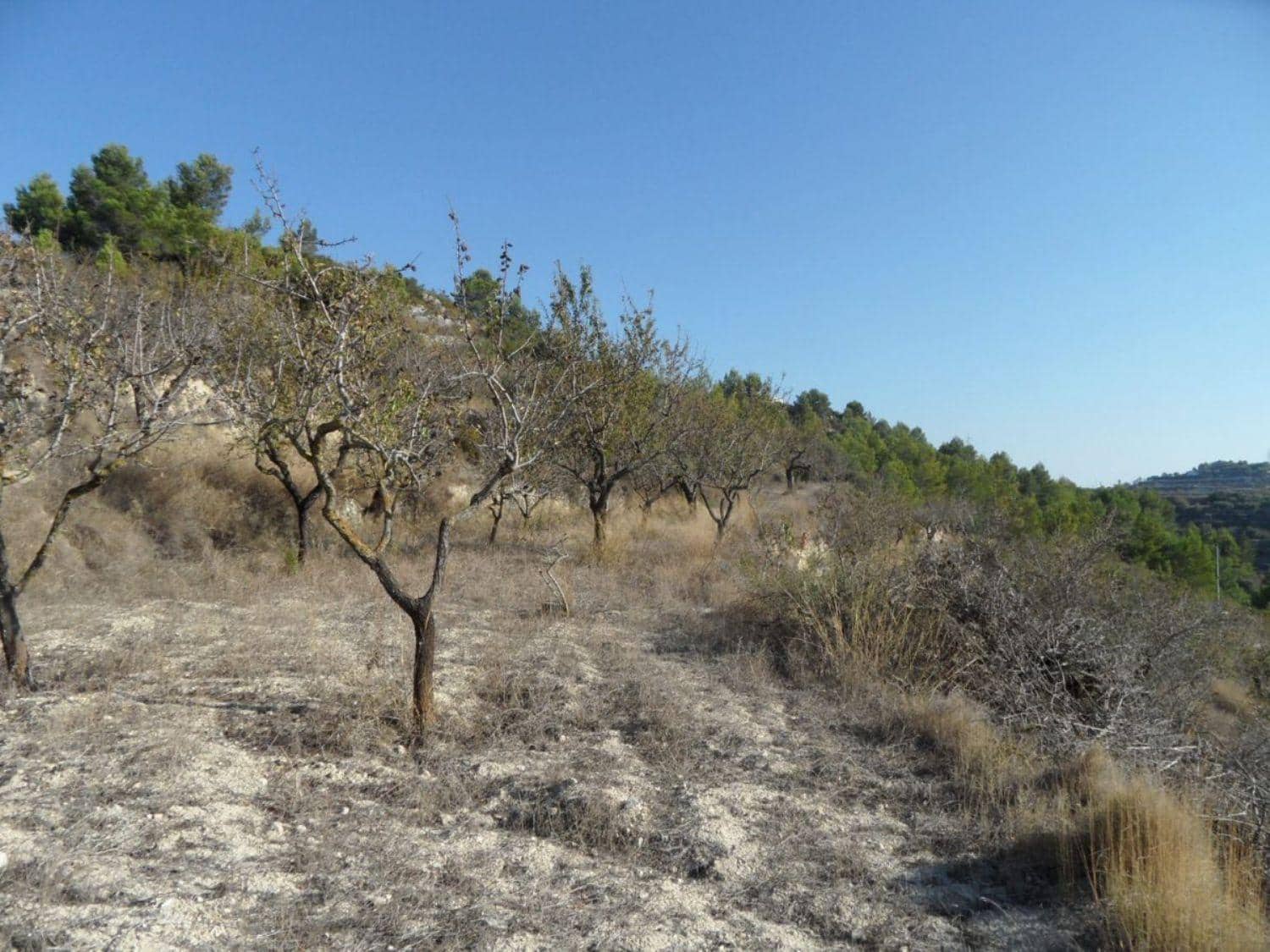 Byggegrund til salg i Benissa - € 180.000 (Ref: 6613520)