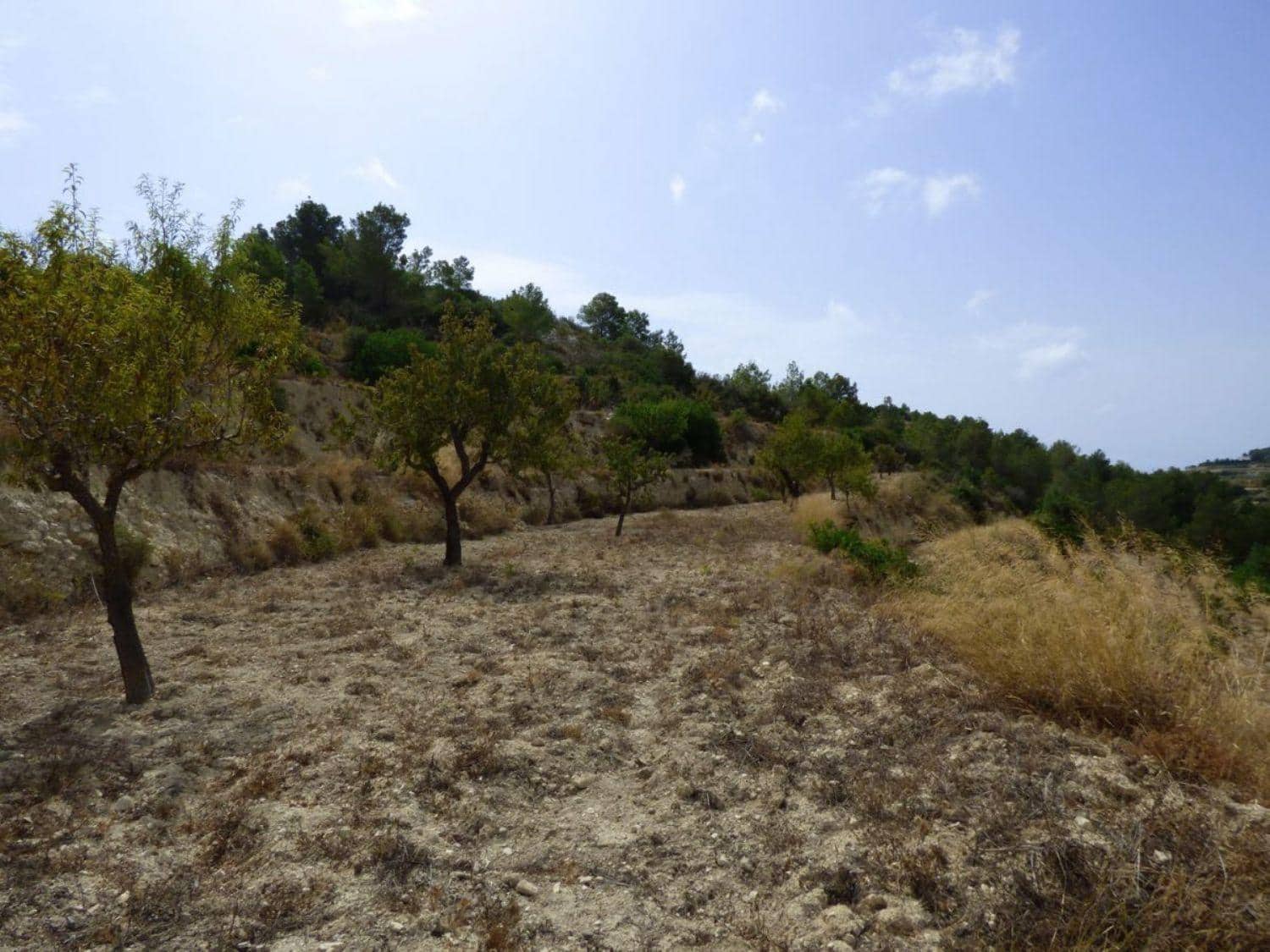 Byggegrund til salg i Benissa - € 180.000 (Ref: 6613520)