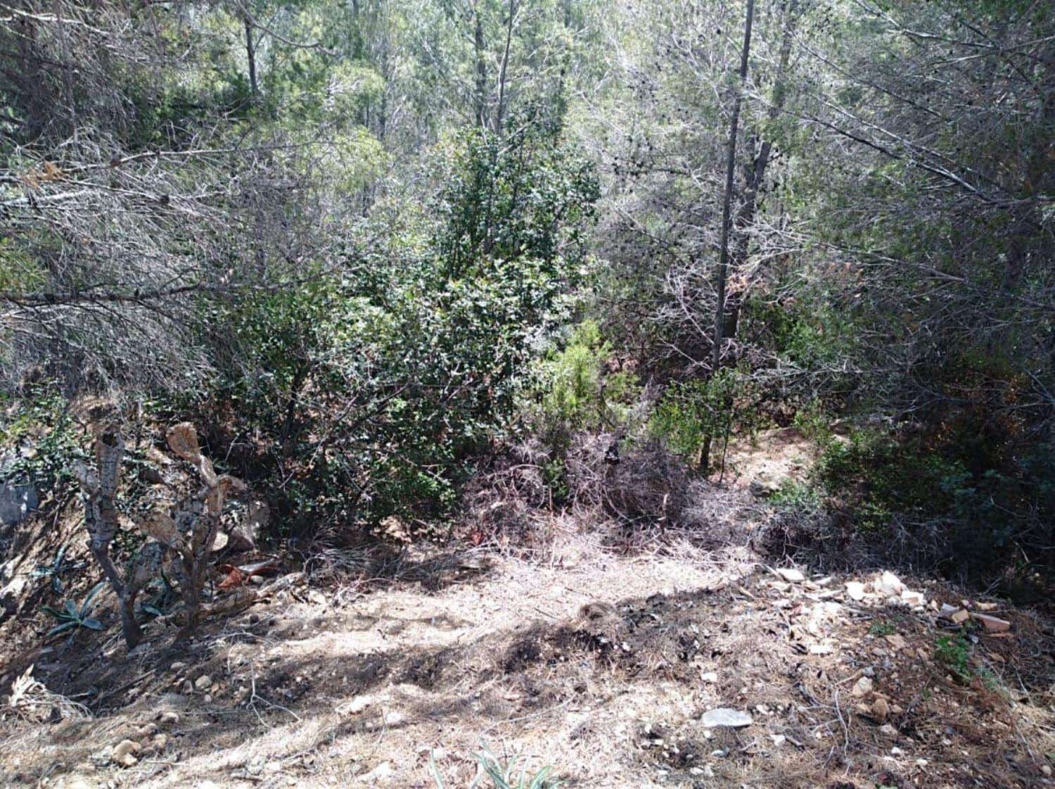 Byggegrund til salg i Calpe / Calp - € 500.000 (Ref: 6613523)