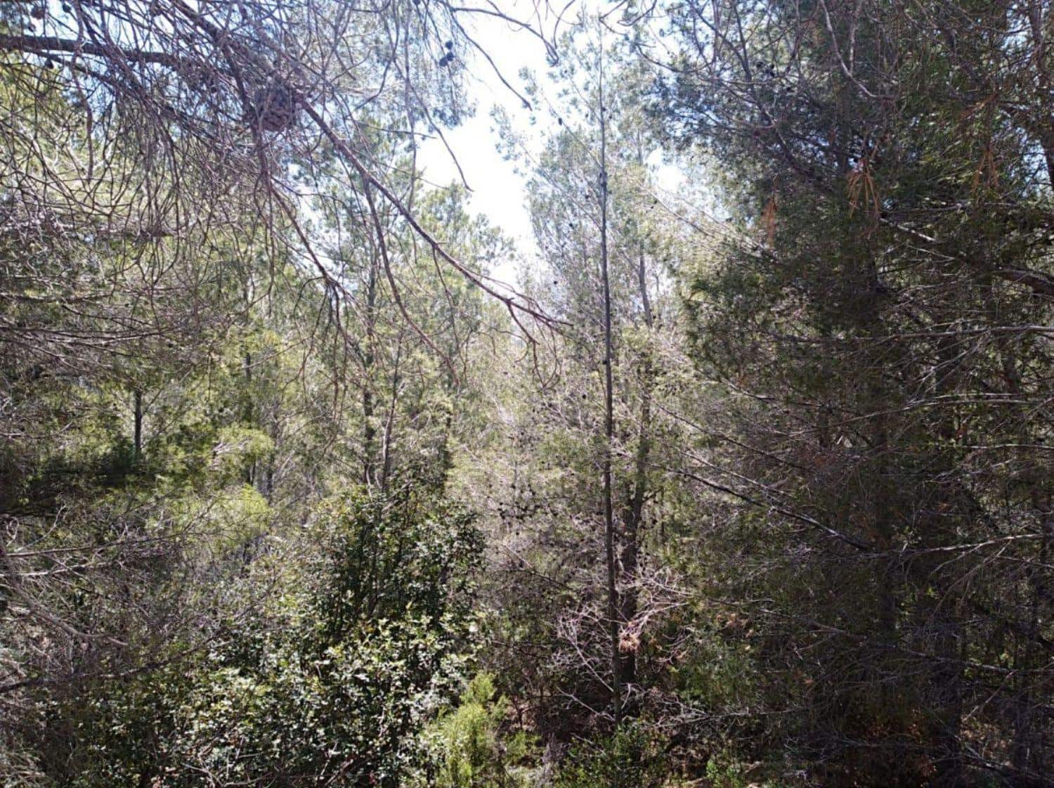 Byggegrund til salg i Calpe / Calp - € 500.000 (Ref: 6613523)