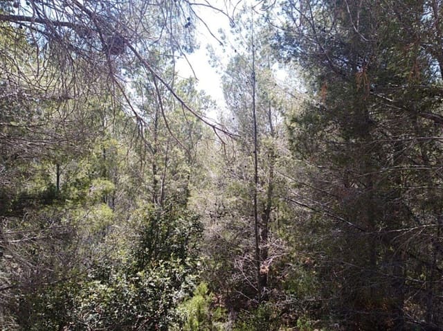 Byggegrund til salg i Oltamar - Cucarres, Calpe / Calp - € 500.000 (Ref: 6613523)