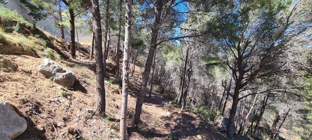 Bouwgrond te koop in Oltamar - Cucarres, Calpe / Calp - € 699.000 (Ref: 6871597)