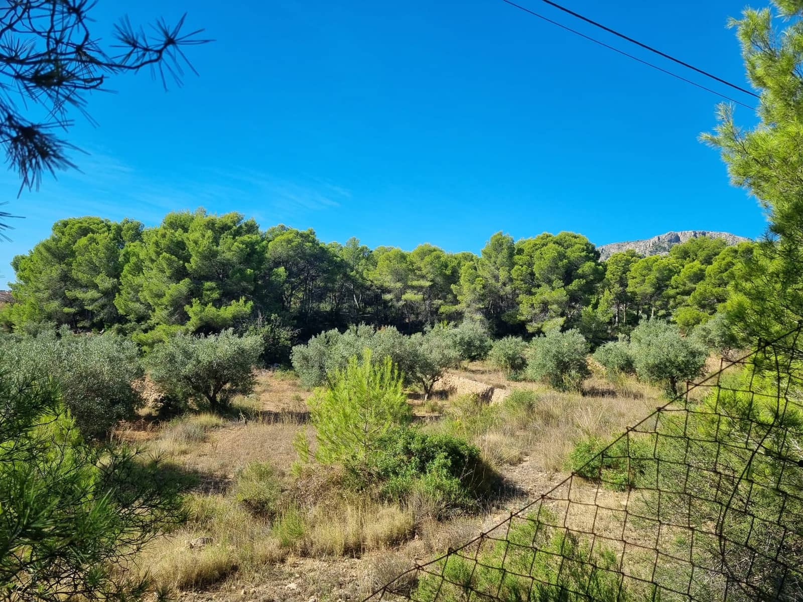 Bouwgrond te koop in Calpe / Calp - € 420.000 (Ref: 7813924)
