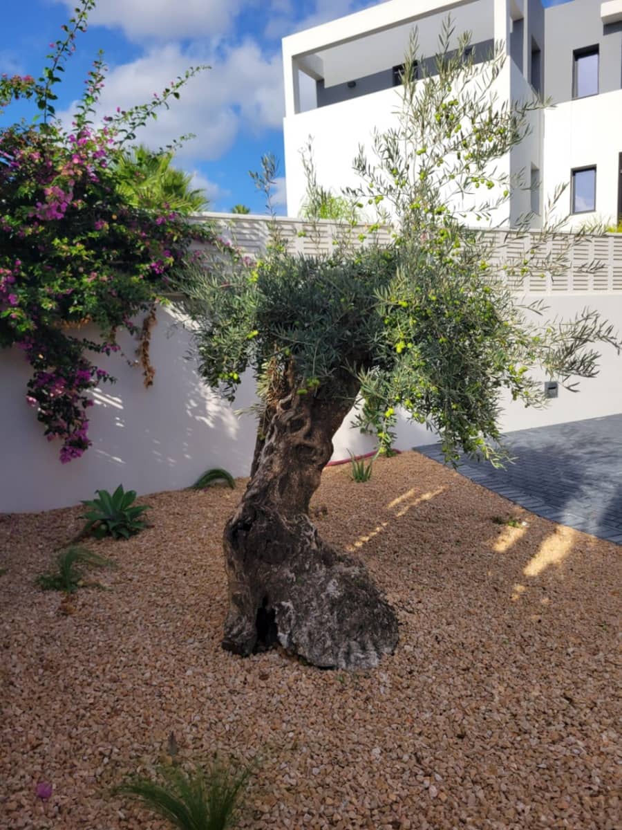 5 soveværelse Villa til salg i Calpe / Calp med swimmingpool garage - € 1.550.000 (Ref: 8543118)