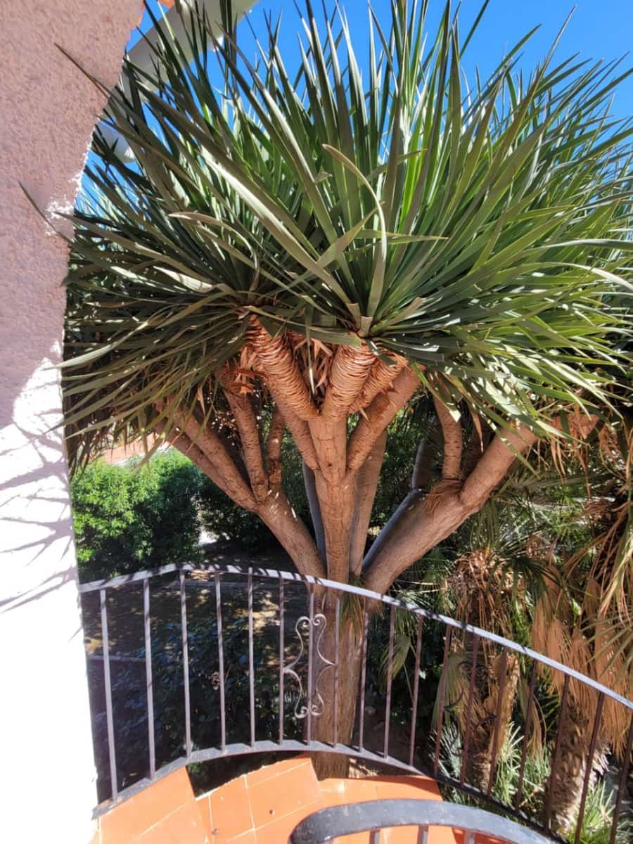 3 soveværelse Villa til salg i Calpe / Calp med swimmingpool garage - € 525.000 (Ref: 8620949)