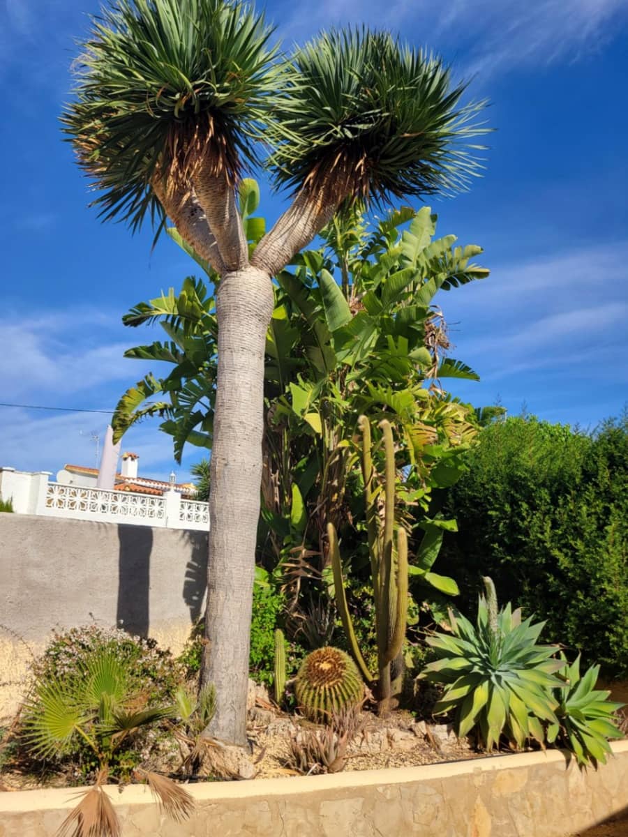 3 sovrum Villa till salu i Calpe / Calp med pool garage - 525 000 € (Ref: 9383867)