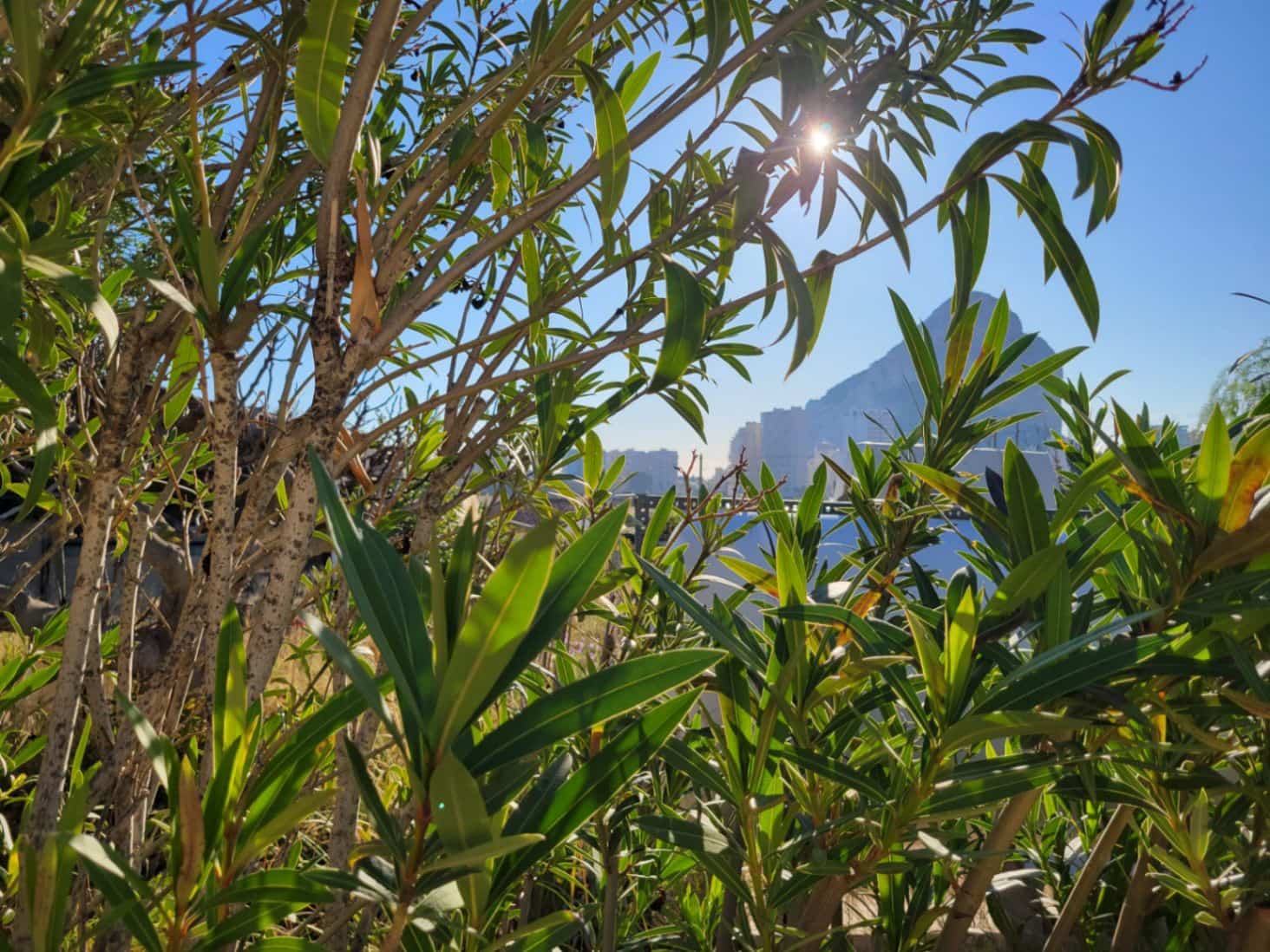 Solar/Parcela en Calpe / Calp en venta - 295.000 € (Ref: 9523602)