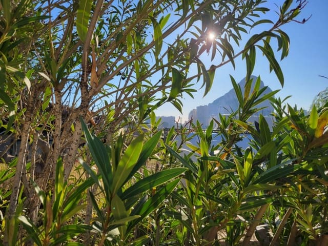 Solar/Parcela en Cometa - Carrió, Calpe / Calp en venta - 295.000 € (Ref: 9523602)