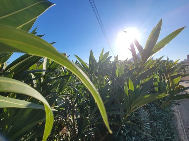 Solar/Parcela en Cometa - Carrió, Calpe / Calp en venta - 295.000 € (Ref: 9523602)